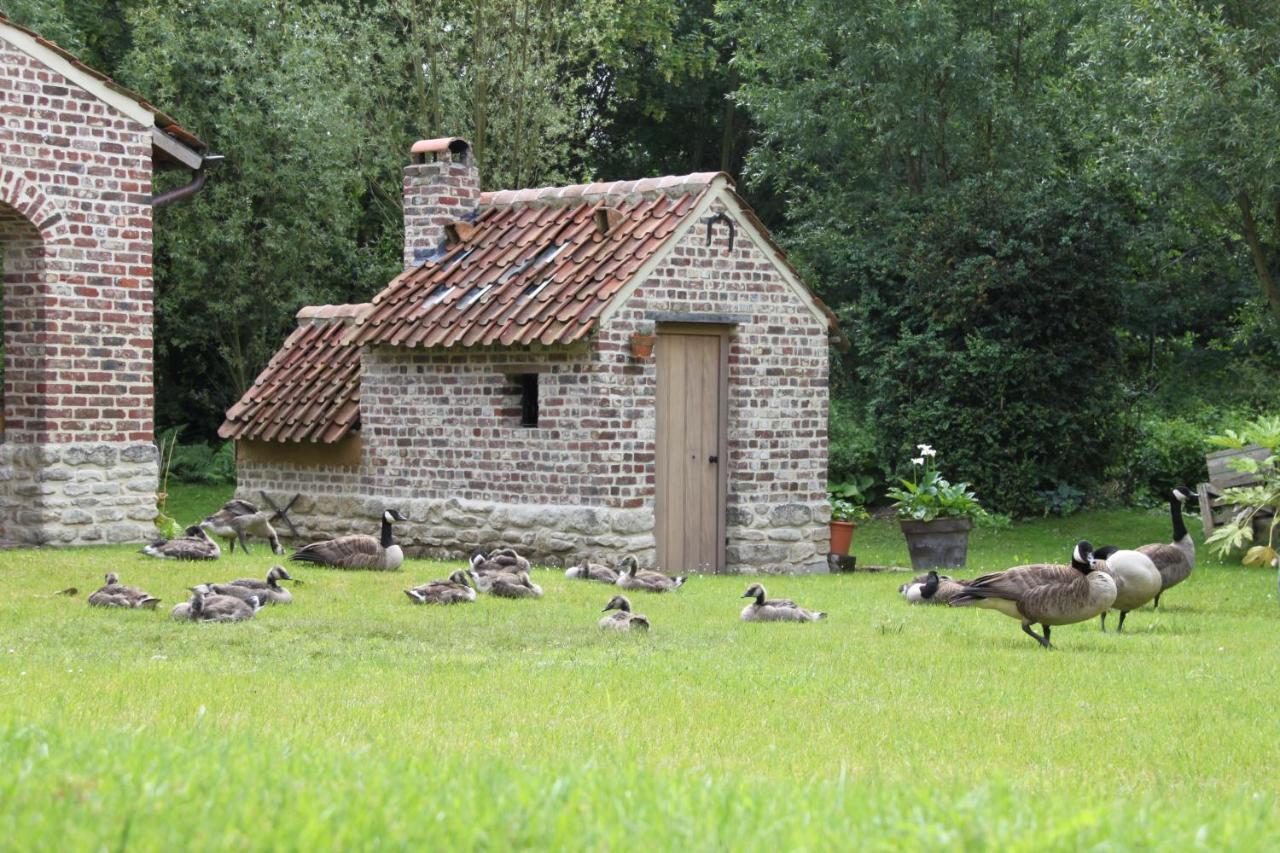 Logies Tommenmolen Grimbergen
