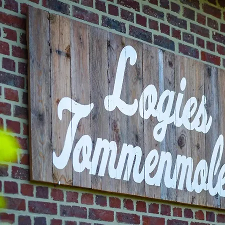 Appartement Logies Tommenmolen à Grimbergen Extérieur photo